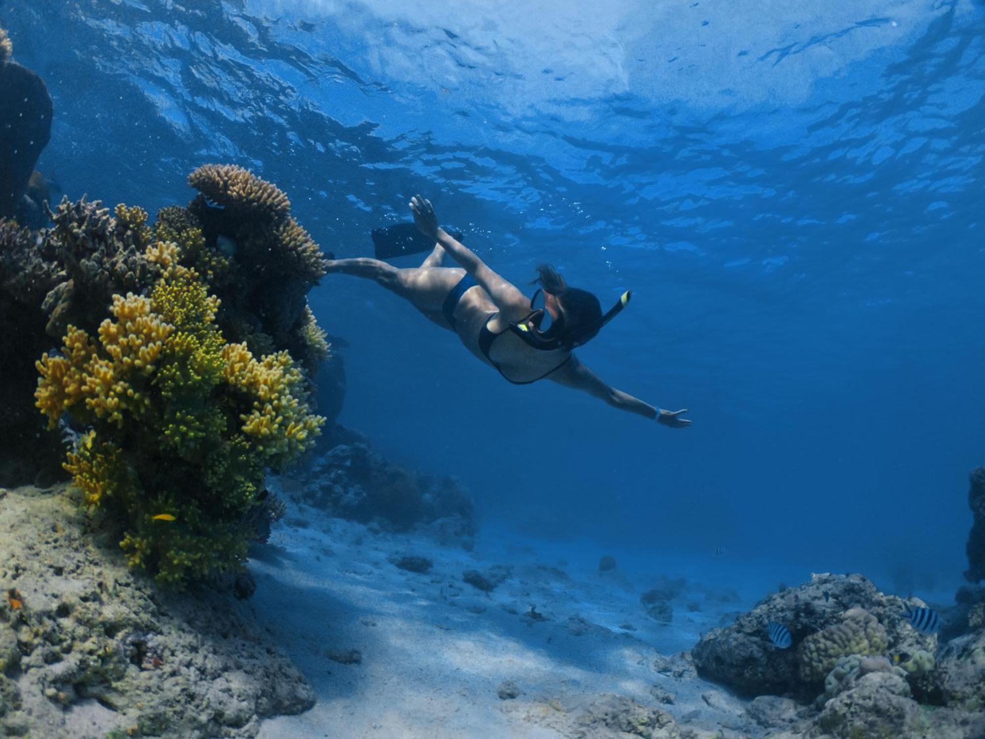 มานทาเรย์ไอซ์แลนด์รีสอร์ท Nanuya Balavu Island ภายนอก รูปภาพ