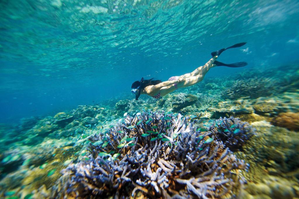 มานทาเรย์ไอซ์แลนด์รีสอร์ท Nanuya Balavu Island ภายนอก รูปภาพ