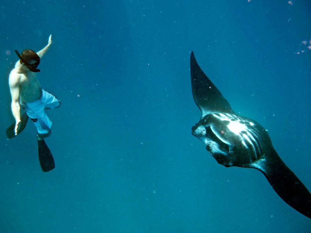 มานทาเรย์ไอซ์แลนด์รีสอร์ท Nanuya Balavu Island ภายนอก รูปภาพ